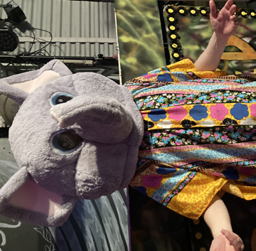 Pancake — The Elephant In The Room